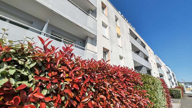 Appartement Saint Sebastien Sur Loire 3 pièce(s)