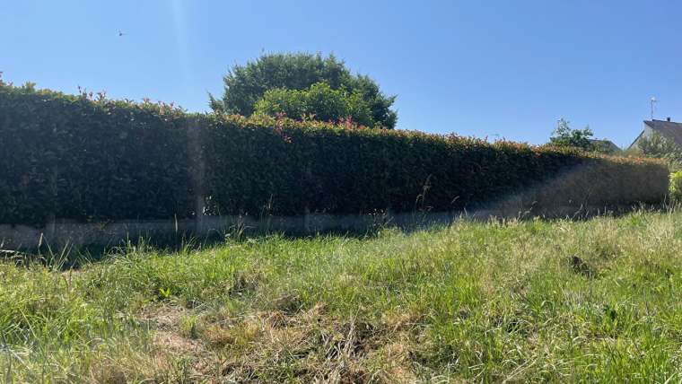 Terrain 15 mn d’Angers