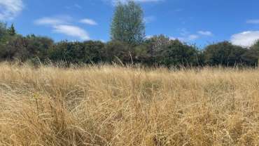 Terrain à bâtir