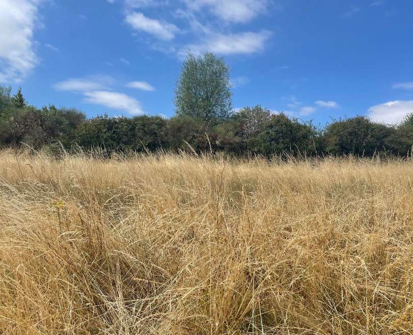 Terrain à bâtir
