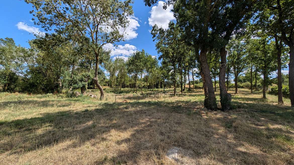 Terrain de loisirs