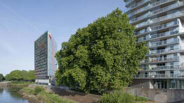 Coup de coeur assuré !  Appartement T4 lumineux